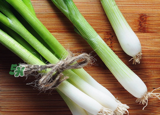 大蔥是蔥黃嗎？大蔥和蔥黃的區(qū)別