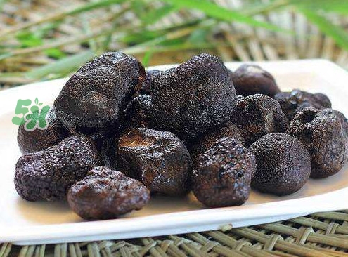 竹蓀怎么讀？竹蓀怎么做好吃