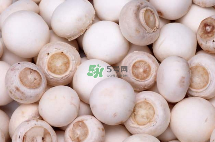 蘑菇能放冰箱嗎？蘑菇能放冰箱多長時間？