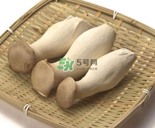 杏鮑菇有什么營(yíng)養(yǎng)價(jià)值？杏鮑菇產(chǎn)地在哪里