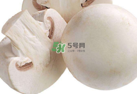 新鮮白蘑菇怎么做好吃？白蘑菇有什么好處