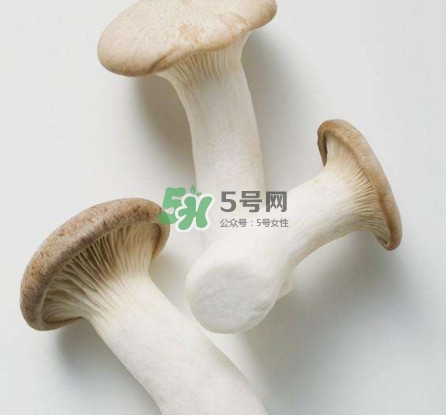 杏鮑菇用水焯嗎？杏鮑菇怎么做好吃