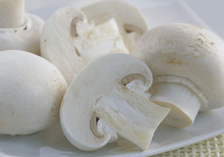 白蘑菇是什么蘑菇？白蘑菇有毒嗎