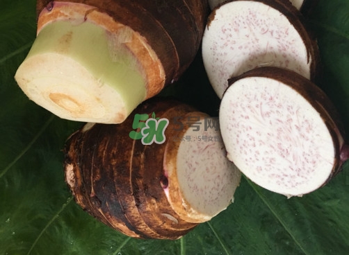 香芋如何種植？香芋的種植方法