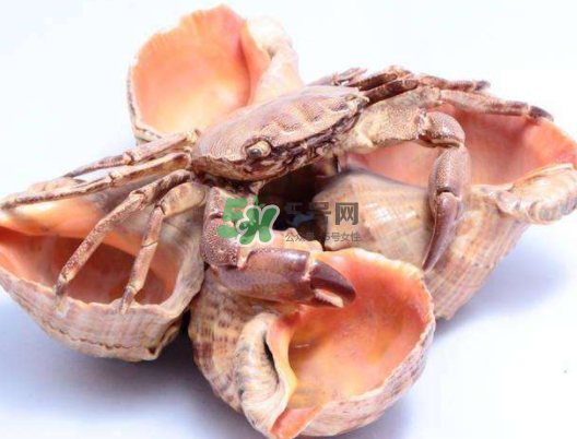 螃蟹殼里的東西是什么？螃蟹殼里什么不能吃？