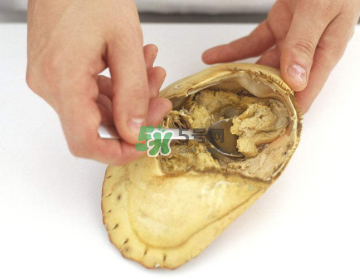 螃蟹殼里的東西是什么？螃蟹殼里什么不能吃？