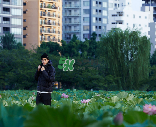 citera2017秋冬系列怎么樣_好看嗎_款式有哪些？