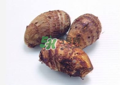 香芋如何種植？香芋的種植方法