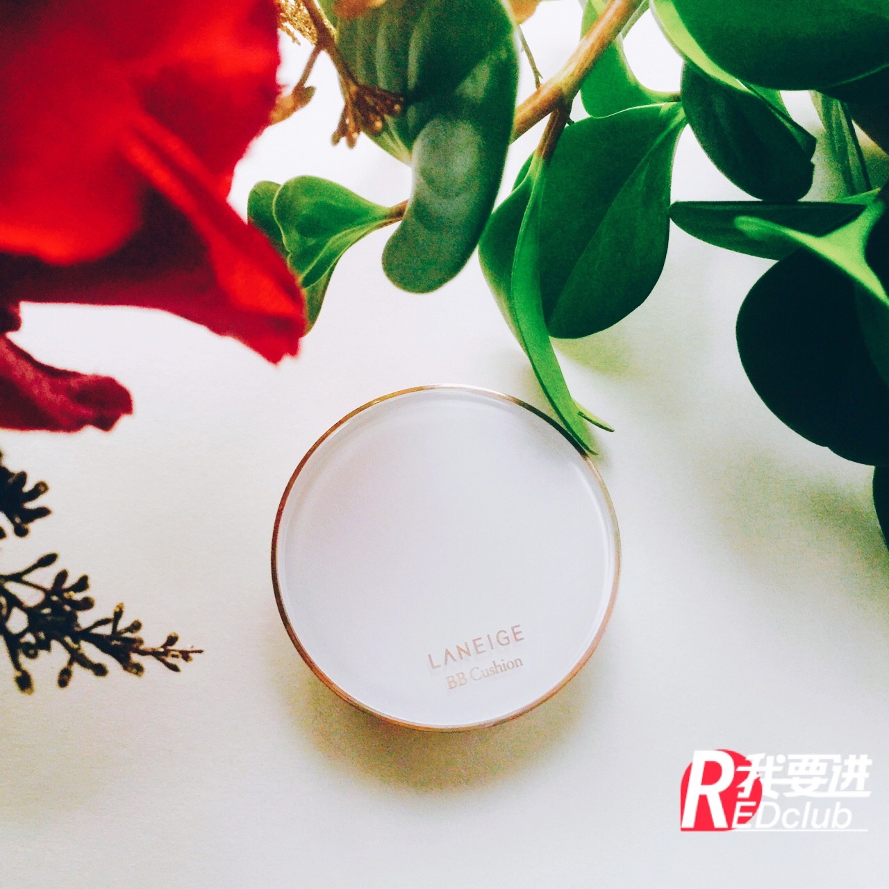 蘭芝氣墊怎么樣 蘭芝氣墊bb好用嗎 蘭芝氣墊怎么樣 蘭芝氣墊bb好用嗎