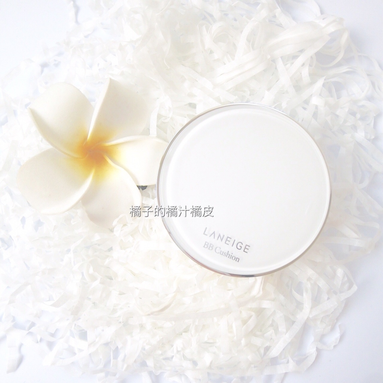 蘭芝氣墊怎么樣 蘭芝氣墊bb好用嗎 蘭芝氣墊怎么樣 蘭芝氣墊bb好用嗎