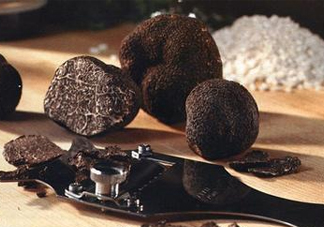 松露是保健品嗎？松露怎么保存