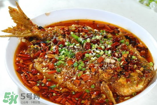 黑魚能愈合傷口嗎？黑魚為什么對傷口愈合？