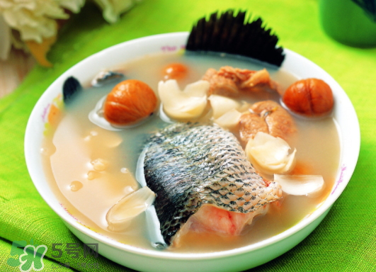 黑魚能愈合傷口嗎？黑魚為什么對傷口愈合？