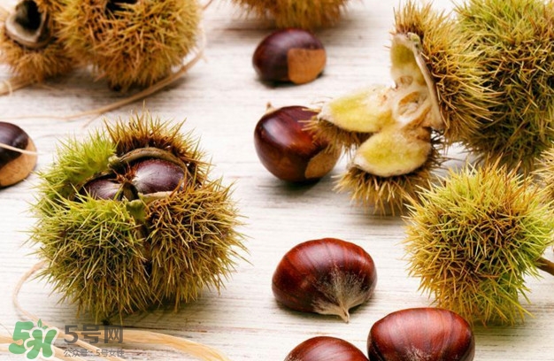 被板栗刺了怎么辦？板栗刺球煮水喝有什么作用