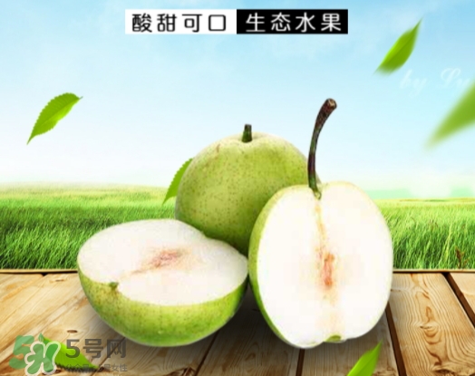 綠寶石梨的營(yíng)養(yǎng)價(jià)值 綠寶石梨的功效與作用 綠寶石梨的營(yíng)養(yǎng)價(jià)值 綠寶石梨的功效與作用