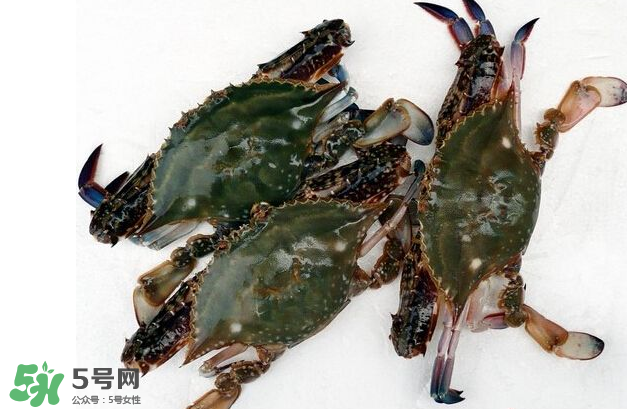 梭子蟹有寄生蟲嗎？梭子蟹有寄生蟲能吃嗎？