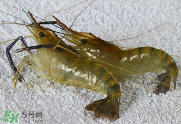 河蝦是酸性還是堿性？河蝦是涼性還是熱性？