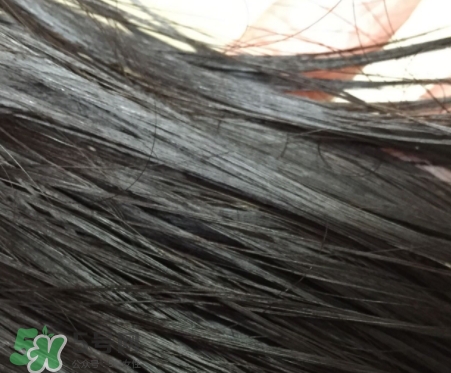 護發(fā)精油能不能抹頭皮？護發(fā)精油的危害