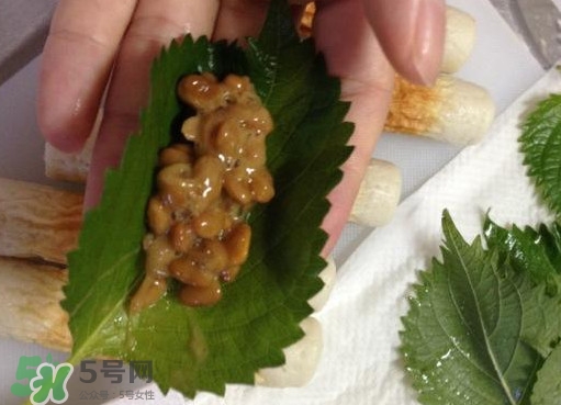 納豆是豆鼓嗎？納豆和豆豉的區(qū)別