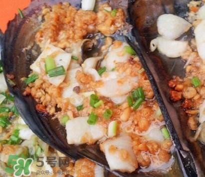 帶子是什么海鮮？帶子是什么東西