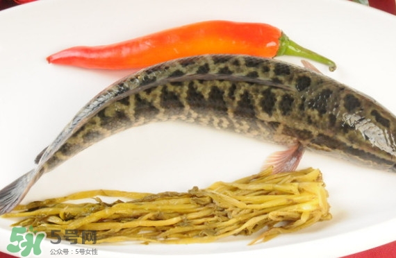 黑魚和草魚哪個好吃？黑魚不適合什么人吃