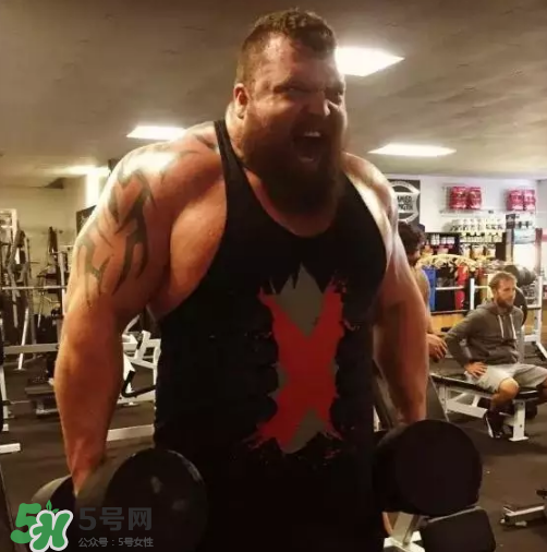 硬拉要放地上嗎？硬拉要觸地嗎？