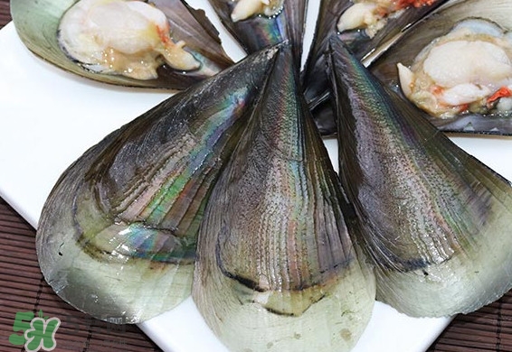 帶子是什么海鮮？帶子是什么東西