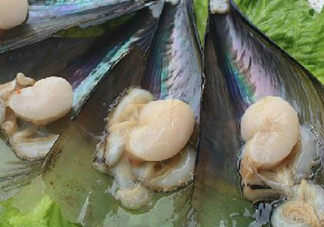 帶子哪里不能吃？帶子有什么營養(yǎng)價值