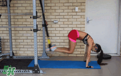 trx訓練是有氧嗎？trx訓練是有氧還是無氧？