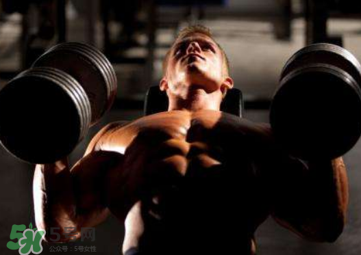 臥推用杠鈴還是啞鈴好？杠鈴臥推和啞鈴臥推的區(qū)別