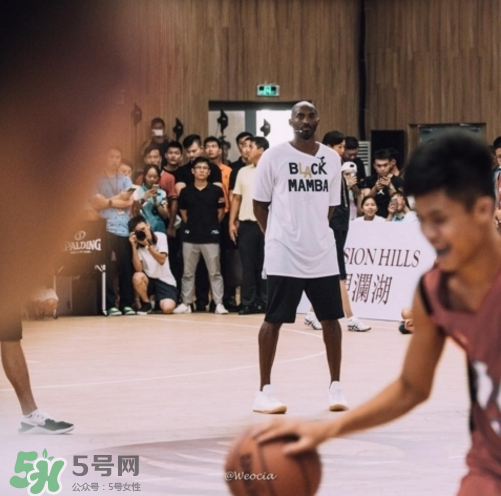 nike kobe ad mid baseline什么時候發(fā)售_多少錢？