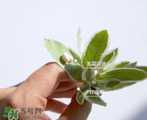 城野醫(yī)生377有副作用嗎？城野醫(yī)生377用了臉癢是什么原因？