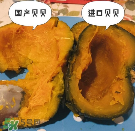 貝貝南瓜怎么挑選？貝貝南瓜有假的嗎