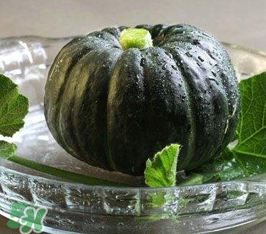 貝貝南瓜什么時(shí)候種植？貝貝南瓜什么時(shí)候上市