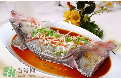 鱸魚為什么沒有刺？鱸魚為什么刺少？