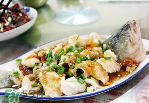 鱸魚為什么沒有刺？鱸魚為什么刺少？