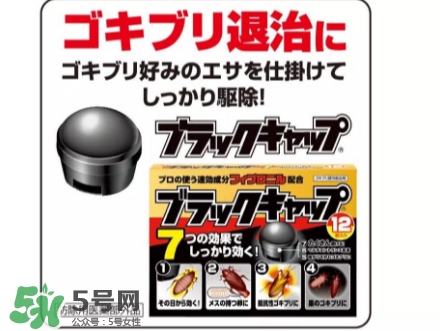日本蟑螂藥好用嗎？日本蟑螂藥效果評測