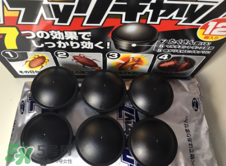 日本蟑螂藥哪里買得到？