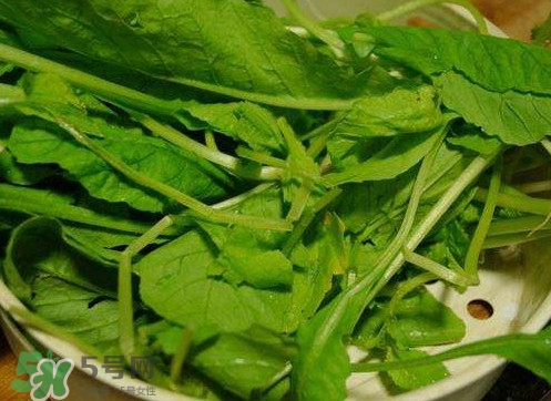 蘿卜纓孕婦能吃嗎？蘿卜纓可以生吃嗎