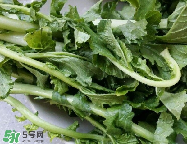 蘿卜纓能吃嗎？蘿卜纓怎么做好吃
