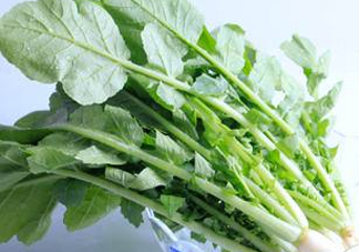 蘿卜纓要焯水嗎？蘿卜纓不能和什么一起吃