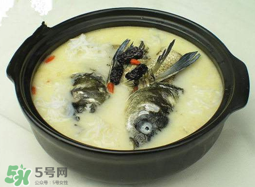 鯉魚(yú)湯怎么做好吃？鯉魚(yú)湯里面可以放什么？
