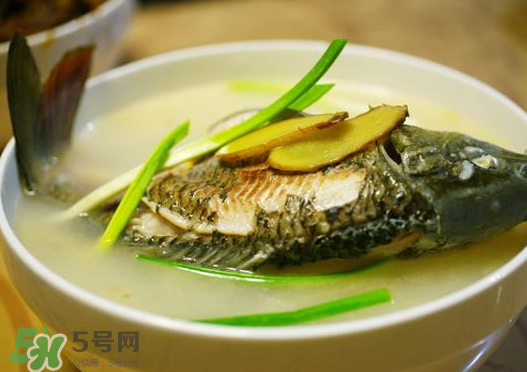 鯉魚(yú)湯怎么做好吃？鯉魚(yú)湯里面可以放什么？