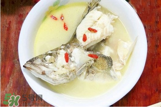 鯉魚(yú)湯怎么做好吃？鯉魚(yú)湯里面可以放什么？
