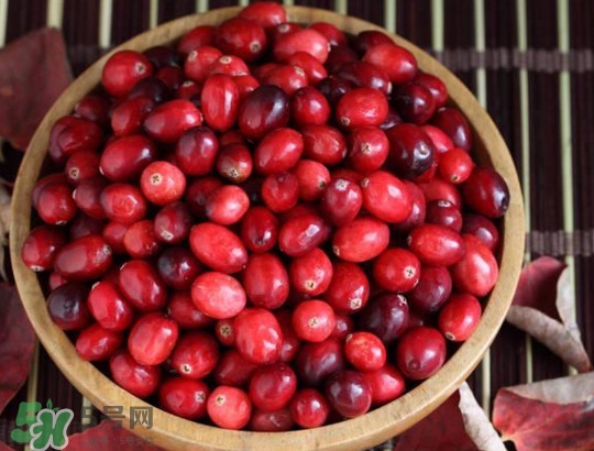 蔓越莓在中國有嗎？蔓越莓怎么辨別真假