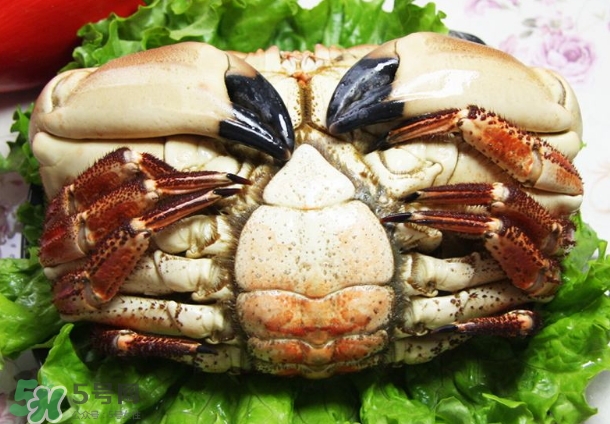 凍螃蟹蒸之前需要解凍嗎？凍螃蟹蒸多長時間？