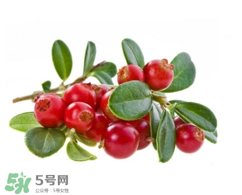 蔓越莓在中國有嗎？蔓越莓怎么辨別真假