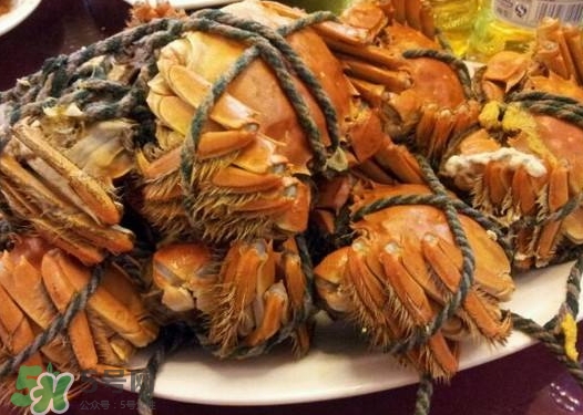 凍螃蟹蒸之前需要解凍嗎？凍螃蟹蒸多長時間？