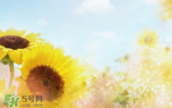 見封滾是什么意思？