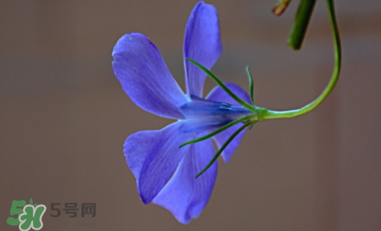 見封滾是什么意思？